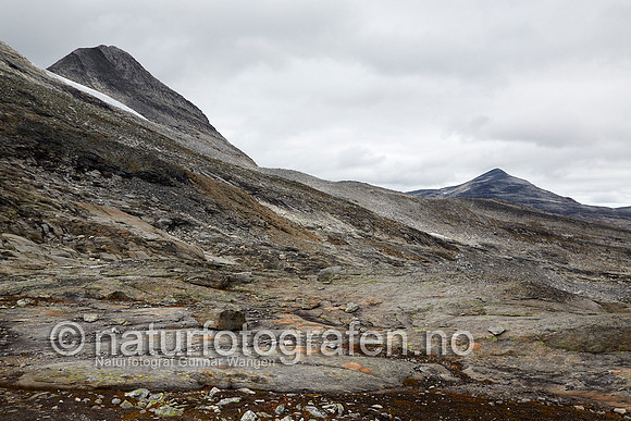 LK1406_248_900_C