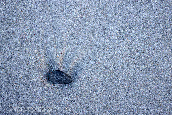 LA2313_013_1200_C