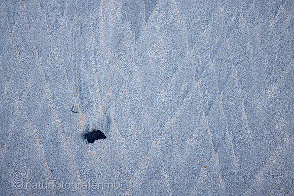 LA2313_015_1200_C