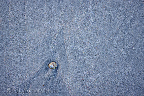 LA2313_016_1200_C
