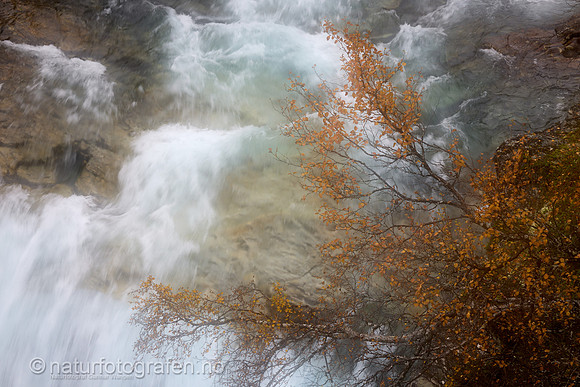 LL2409_002_1280_C