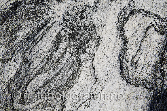 LK1406_134_900_C