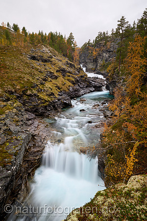 LL2409_023_1280_C