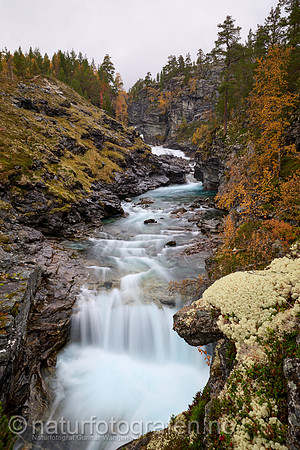 LL2409_019_1280_C