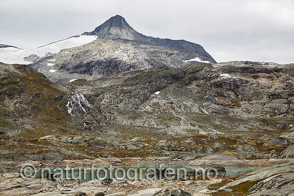 LK1406_197_900_C