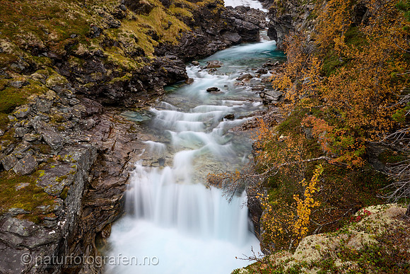 LL2409_022_1280_C