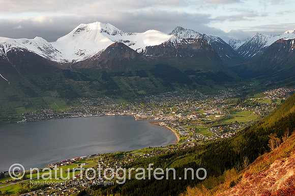 D_LG0906_005_900_C