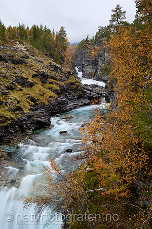 LL2409_013_1280_C