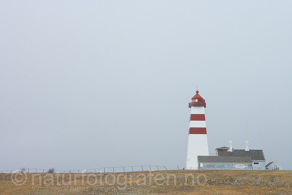 D_LK0501_022_900_C