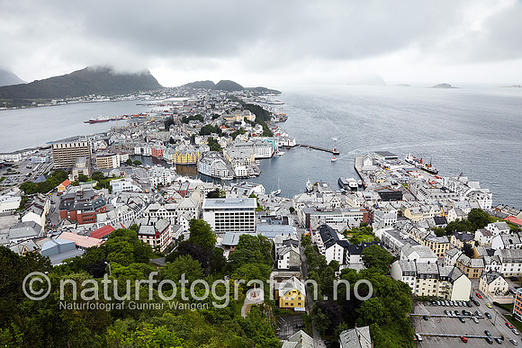 D_LK1004_031_900_C