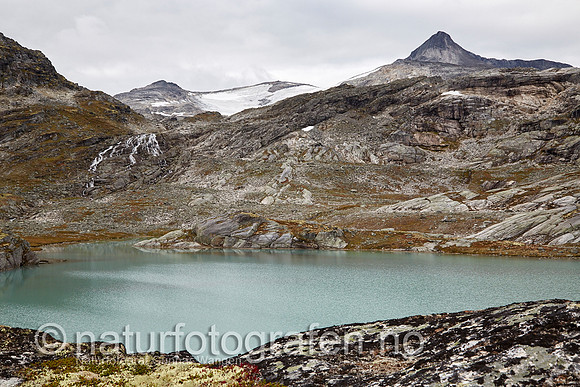 LK1406_211_900_c