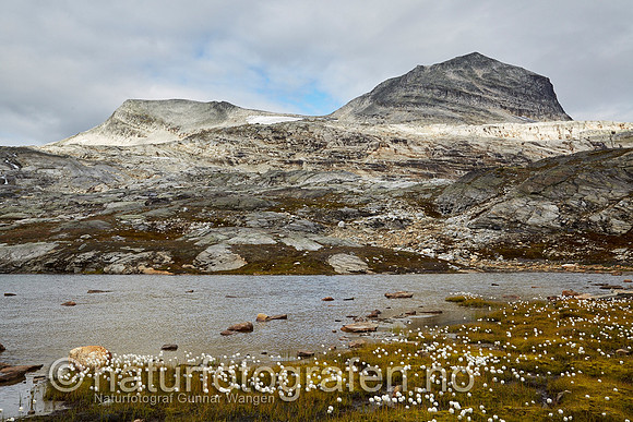 LK1406_214_900_C