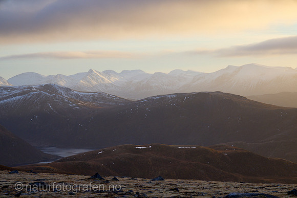 LA2410_017_1200_C