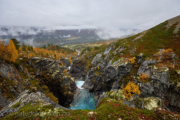 LL2409_119_1280_C