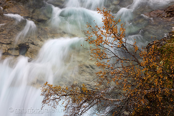 LL2409_003_1280_C