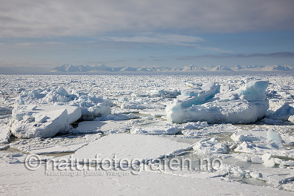 D_EA0901_728_900_C