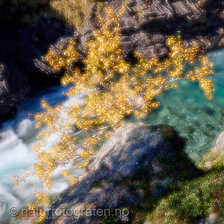 LL2406_082_1x1_1200_C