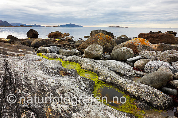 D_LA0808_010_900_C