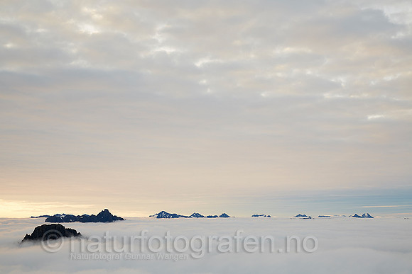 LG1407_246_900_C