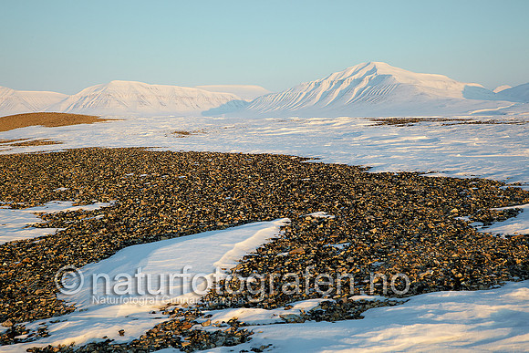 D_EA0901_519_900_C