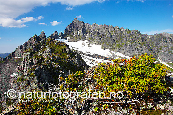 D_LG0715_036_900_C