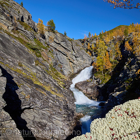 LL2406_104_1x1_1200_C