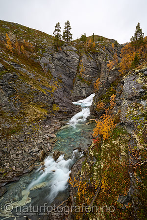 LL2409_074_1280_C