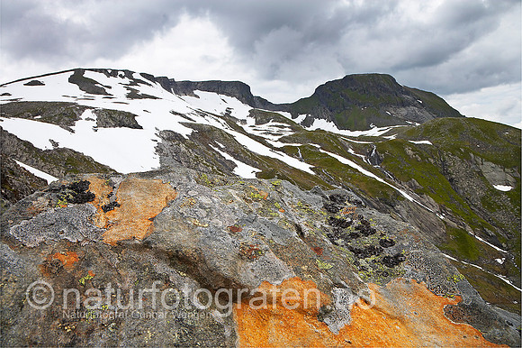 D_LE0707_035_900_C