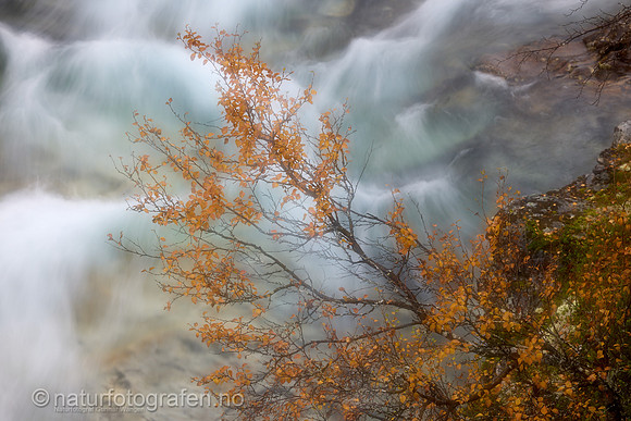 LL2409_037_1280_C