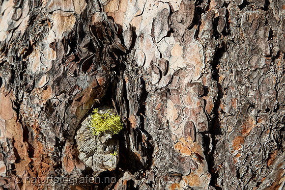 LL2406_014_1200_C