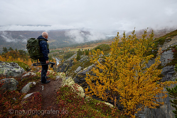 LL2409_117_1280_C