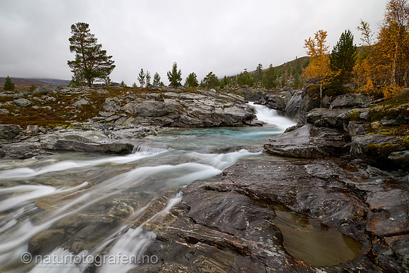 LL2409_065_1280_C