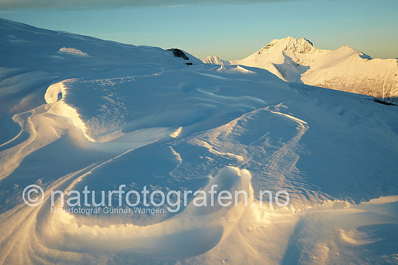 D_LF1001_007_900_C