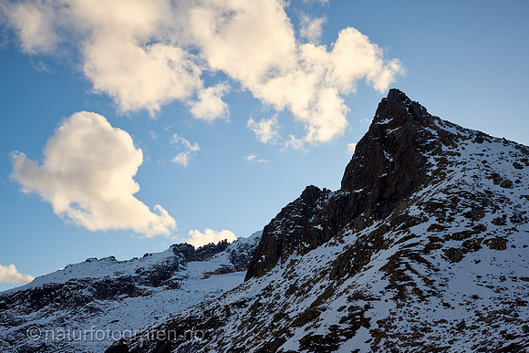 LG2407_154_1280_C