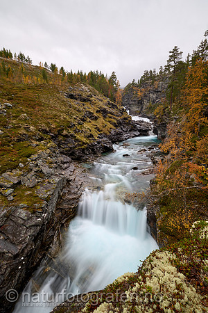 LL2409_016_1280_C