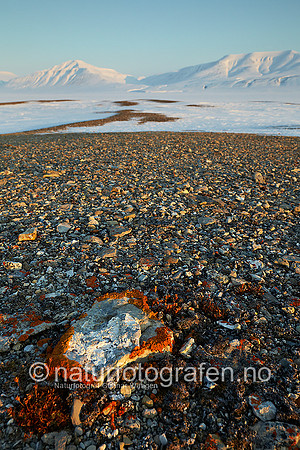 D_EA0901_528_900_C
