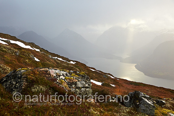 D_LE1008_011_900_C