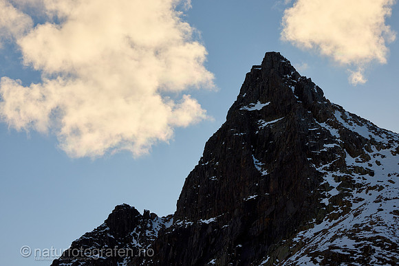 LG2407_159_1280_C