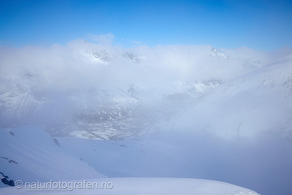 LF2401_011_1280_C