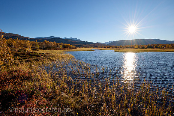 LL2406_129_1200_C