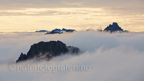 LG1407_267_HD_900_C
