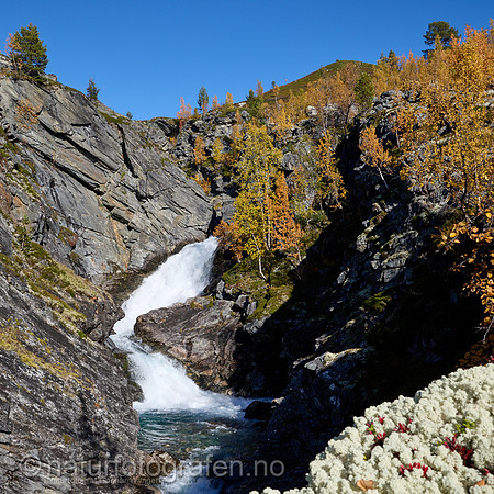LL2406_101_1x1_1200_C