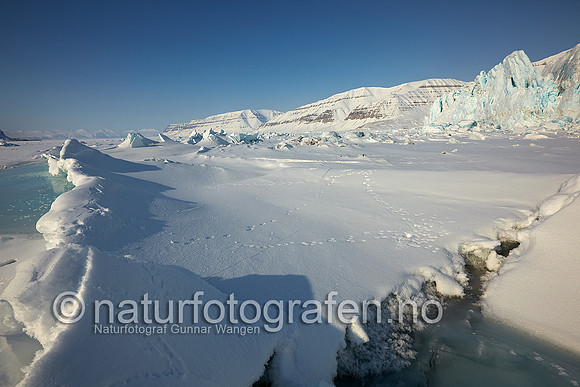 D_EA0901_286_900_C
