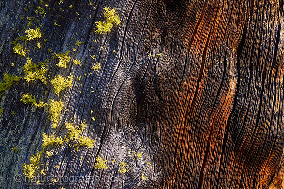 LL2406_069_1200_C
