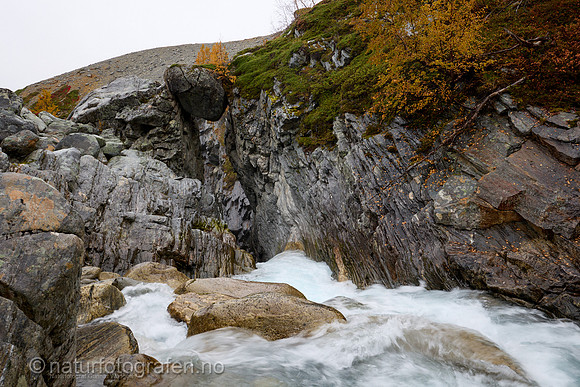 LL2409_122_1280_C
