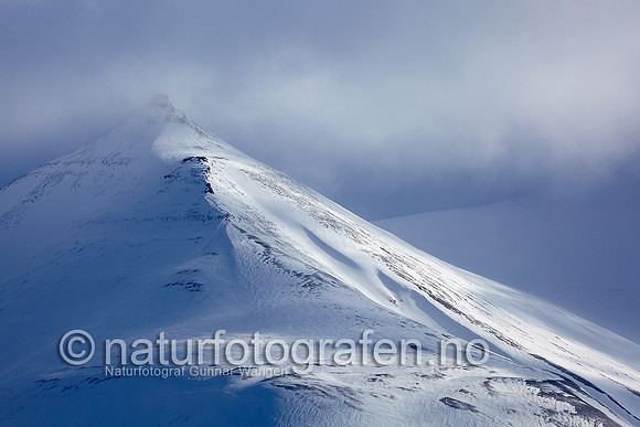 D_EA0901_629_900_C