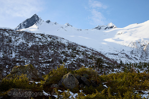 LF2503_069_1280_C
