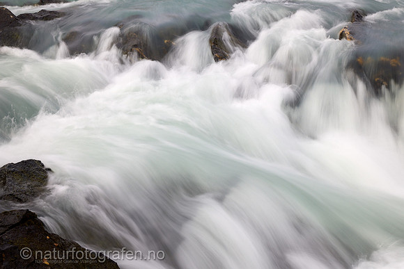 LL2406_184_1200_C