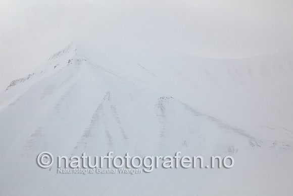 D_EA0901_578_900_C