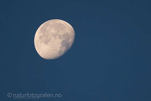 LL2406_010_1200_C
